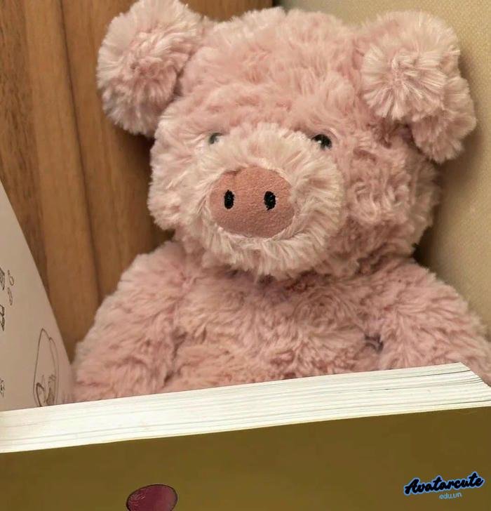 ảnh học tập và ánh sáng