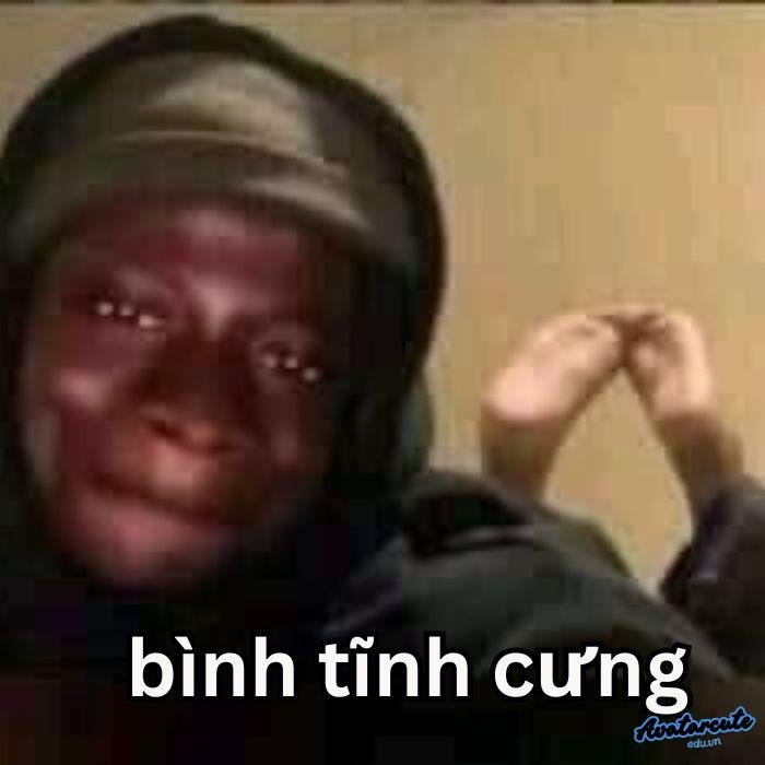 ảnh meme bình tĩnh siêu hài