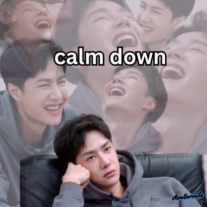 ảnh meme calm down