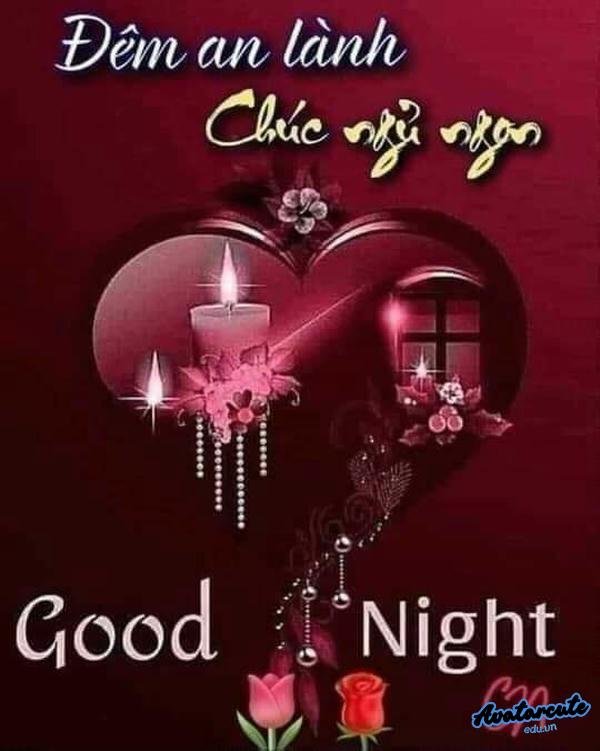 ảnh meme chúc ngủ ngon