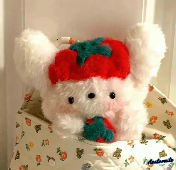 ảnh mèo và sự đáng yêu