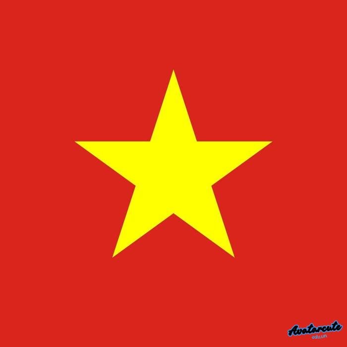 avatar cờ việt nam cho đội tuyển