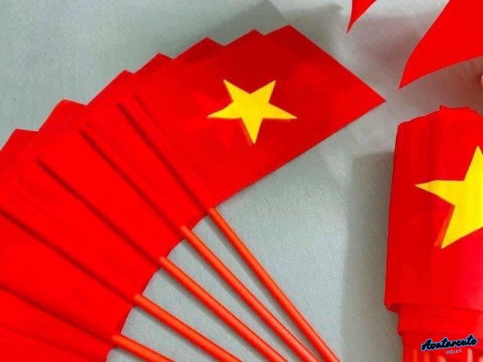 avatar cờ việt nam nghệ thuật