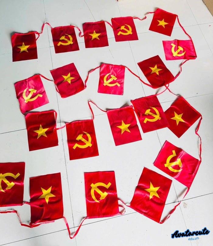 avatar cờ việt nam tự hào