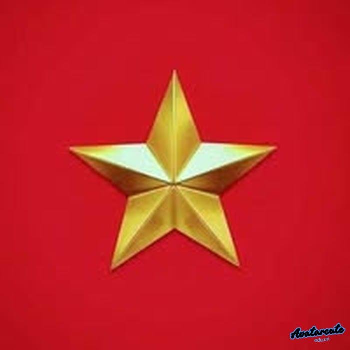 avatar cờ việt nam và trái tim