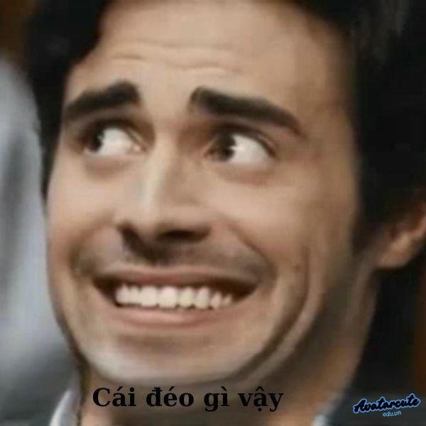 cái đéo gì vậy