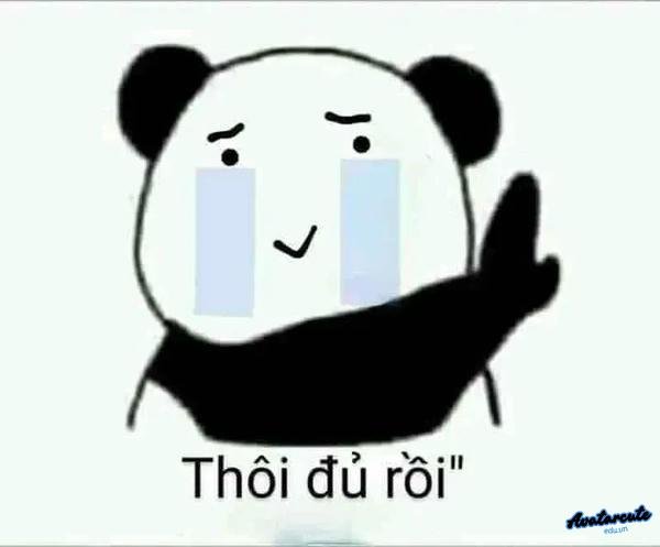 cảm động nhất