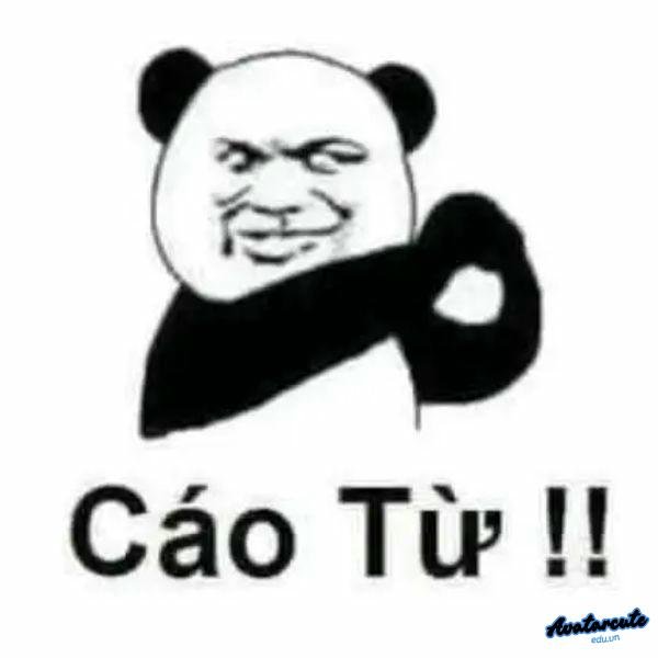 cáo từ gấu trúc đen