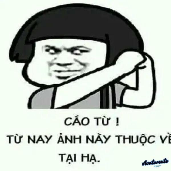 cáo từ , nay ảnh này thuộc về tại hạ