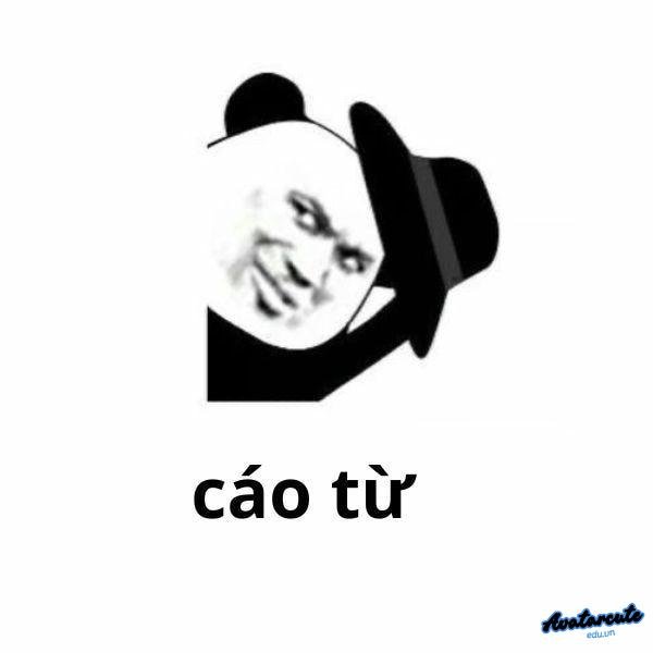cao tu nha ba