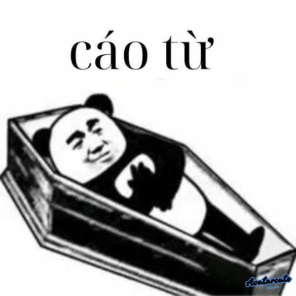 cáo từ tao đi trước