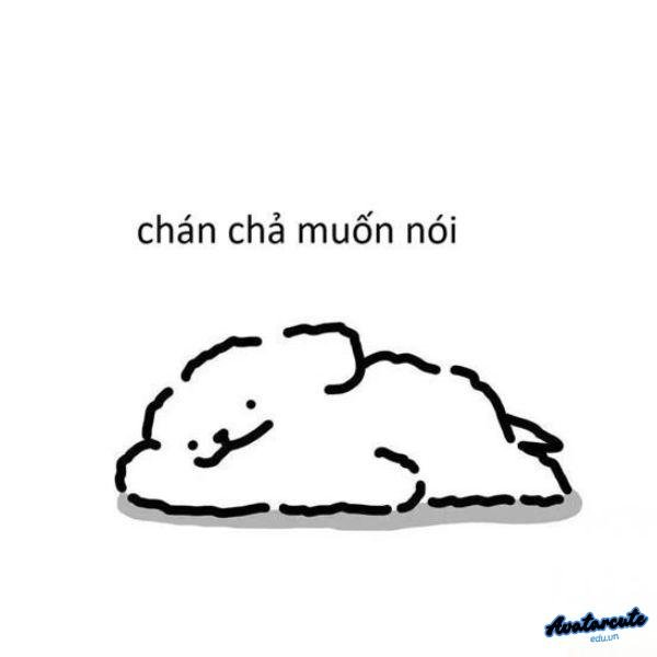 chan khong buon ca noi