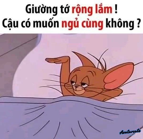 chuột nâu ngủ ngon