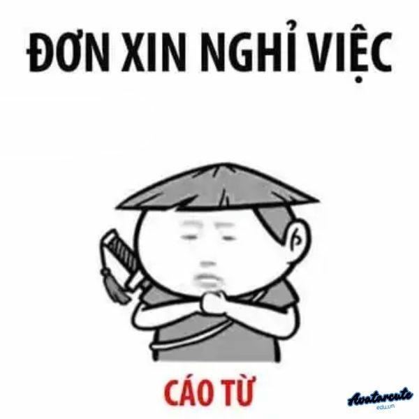 đơn xin cáo từ