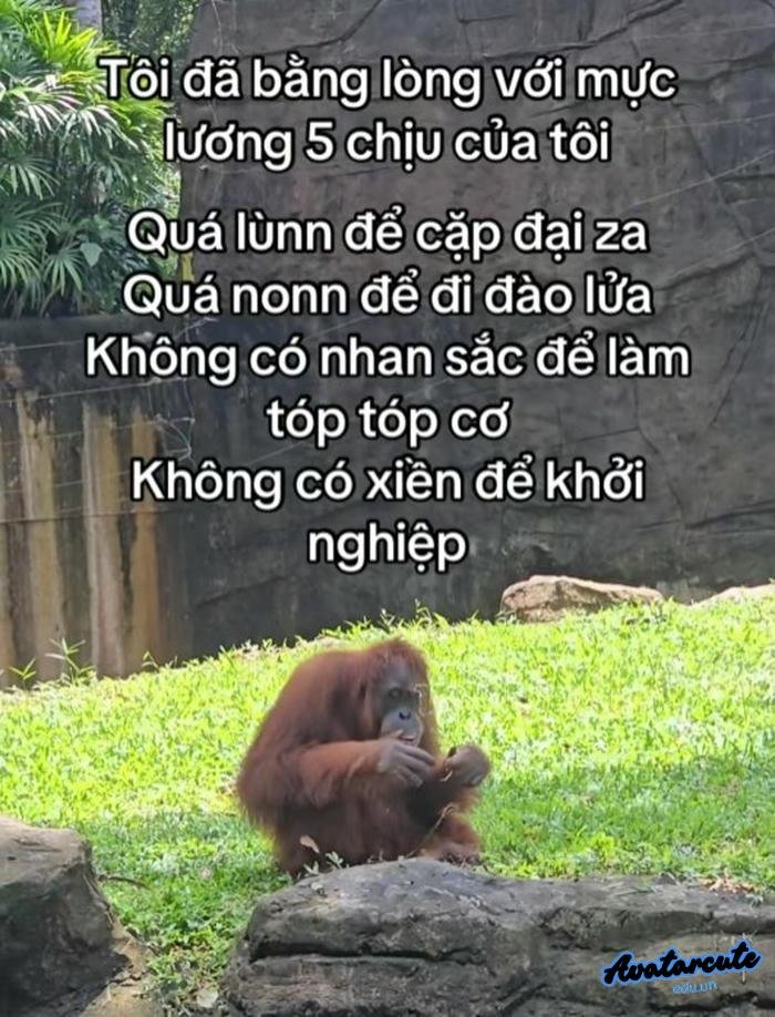 du pareil au même meaning