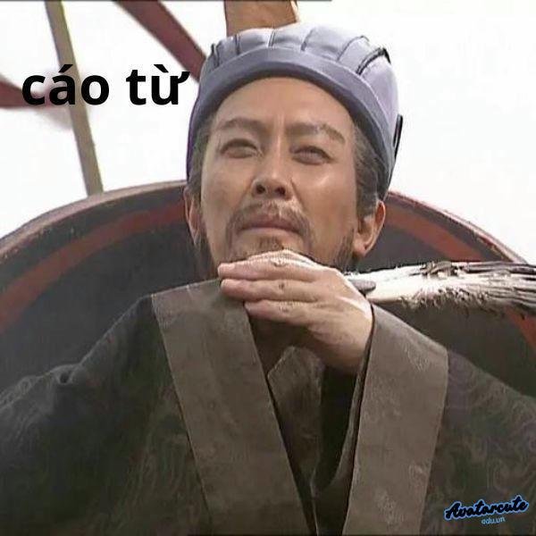 hình ảnh meme cáo từ