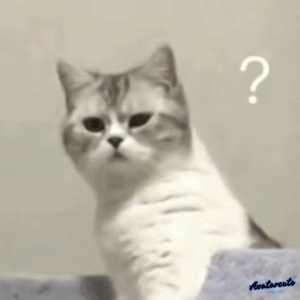 hinh anh meme khó hiểu