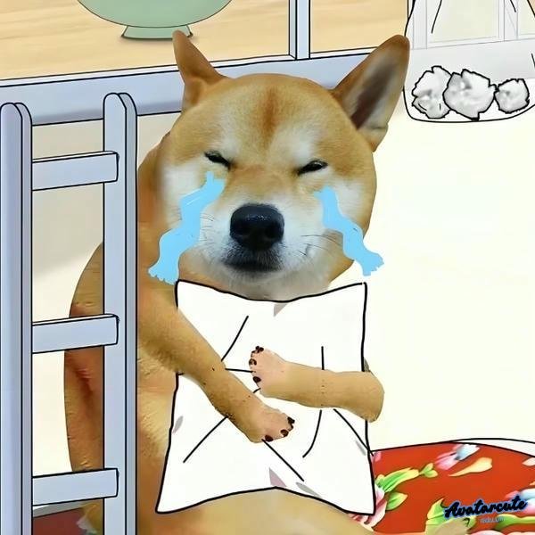 hình ảnh meme khóc