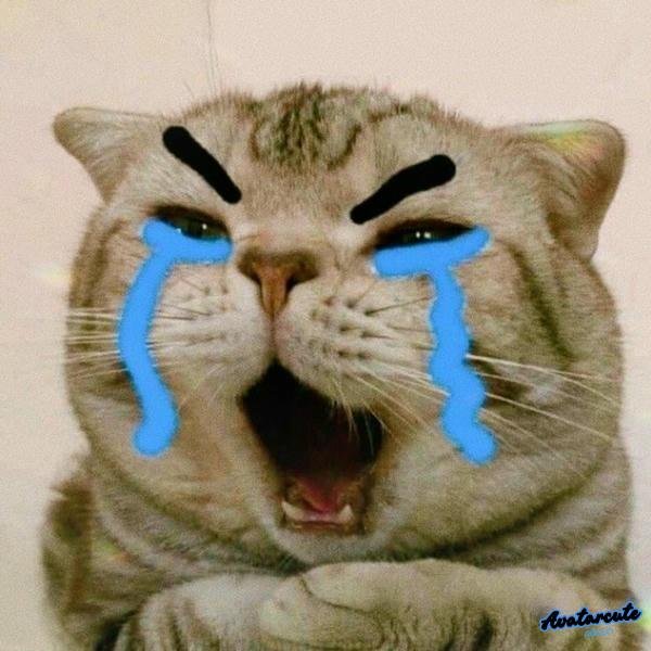 hình ảnh meme khóc trung quốc