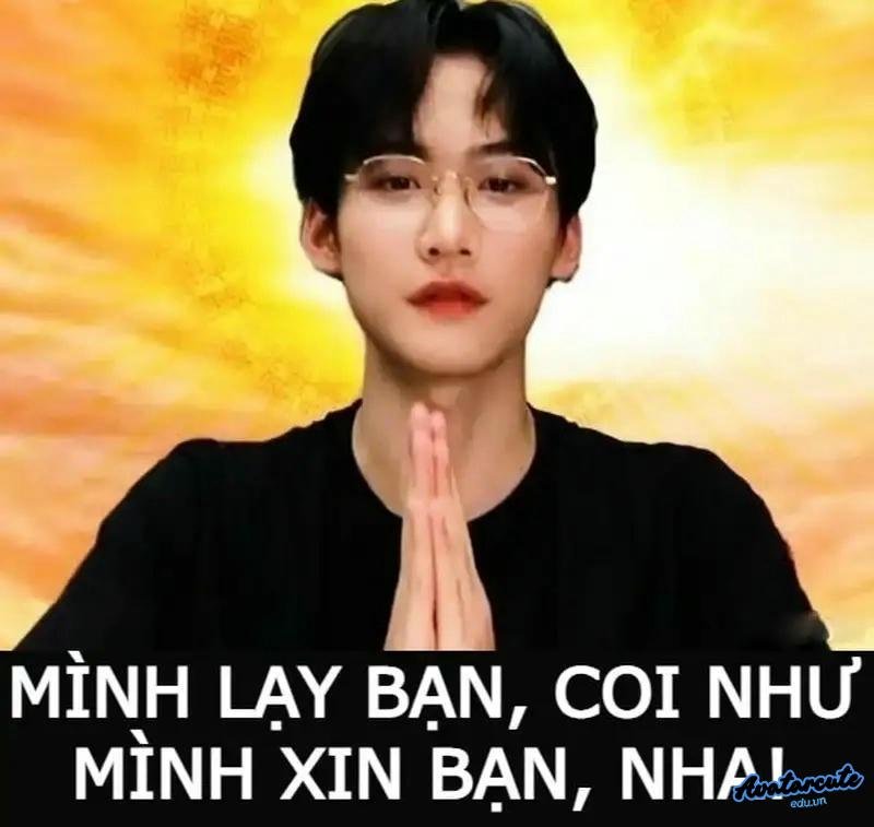 hình ảnh meme lạy