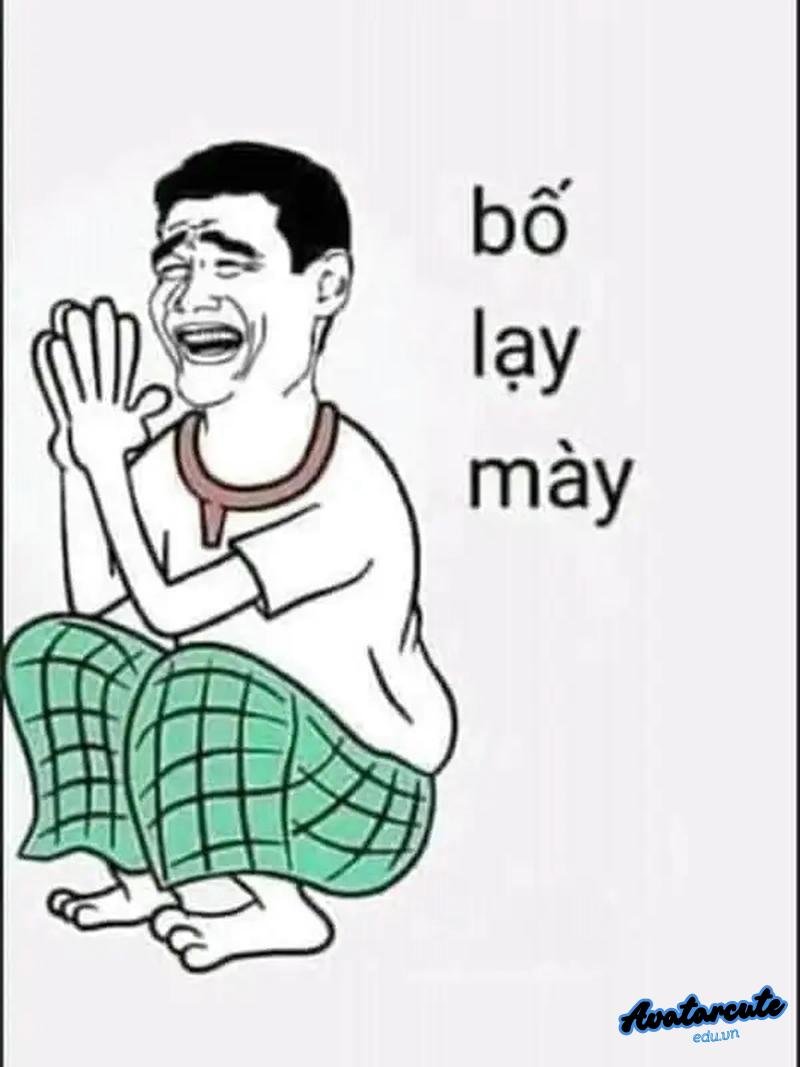 hinh anh meme lạy