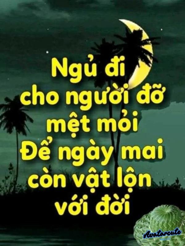 hình meme chúc ngủ ngon bịp