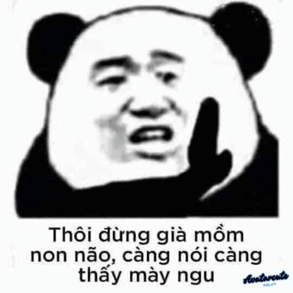 hình meme chửi