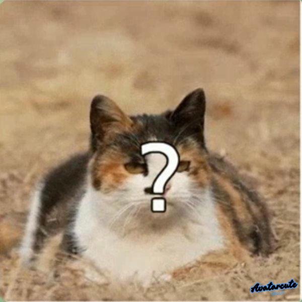 hình meme hỏi chấm hài