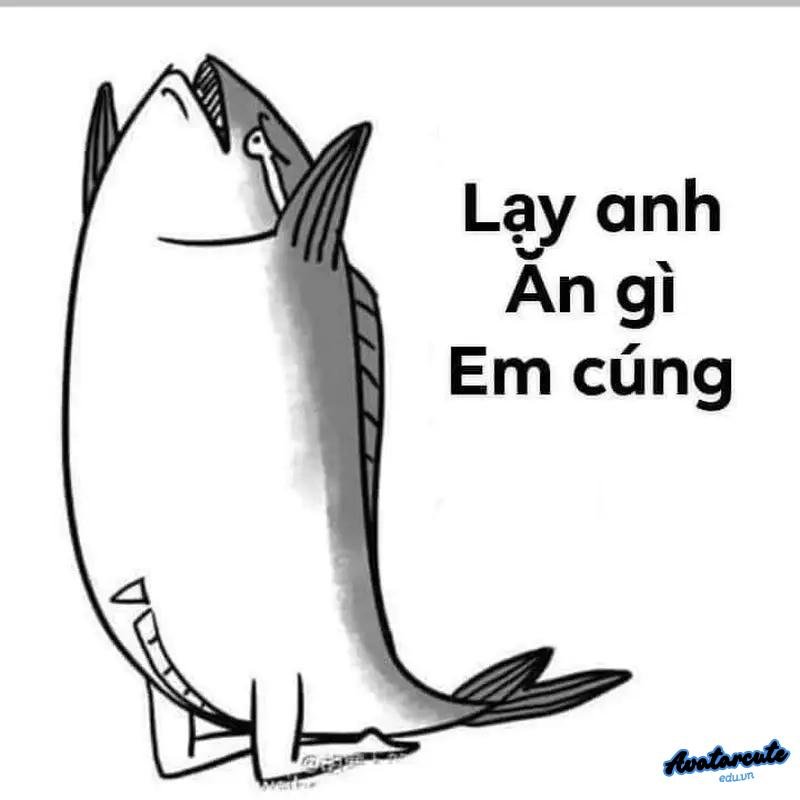 hình meme lạy