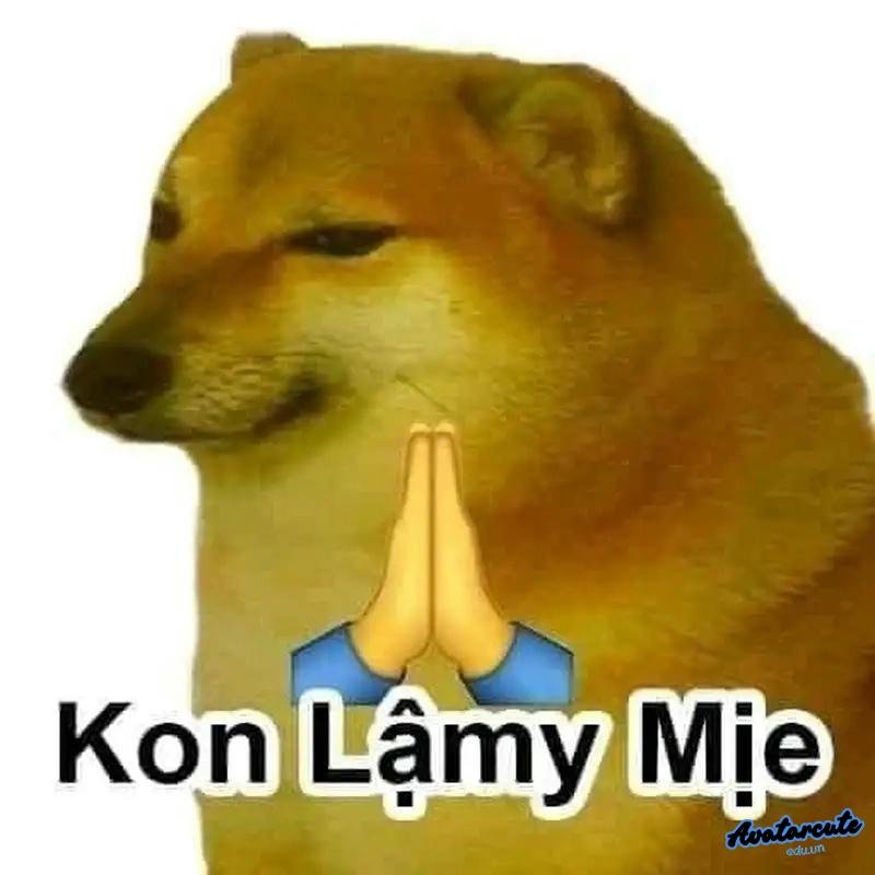 ko lậy mẹ