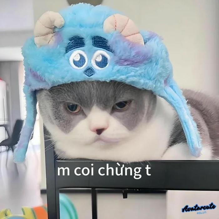 m coi chừng tao