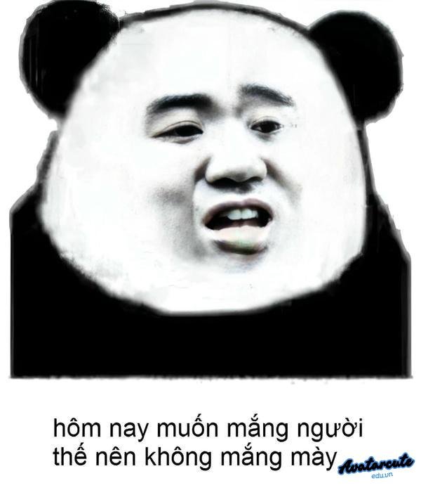 mắng chết con mẹ mày bây giờ