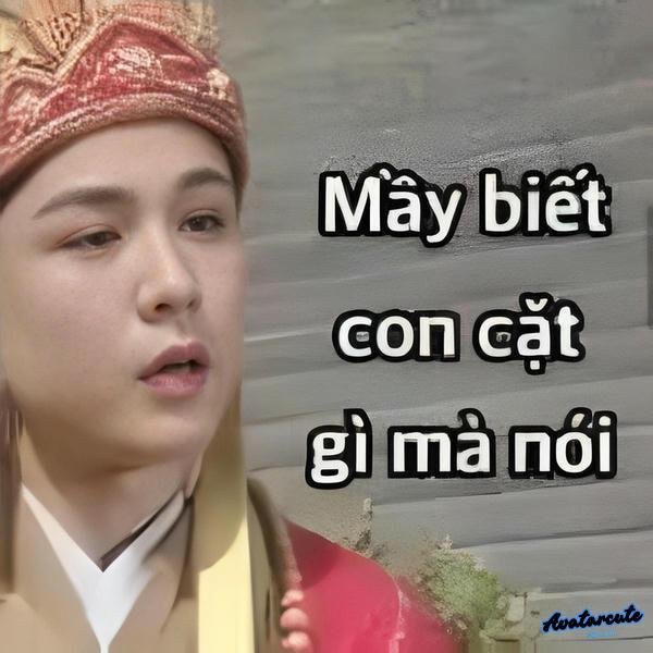 mày biết con cặc gì