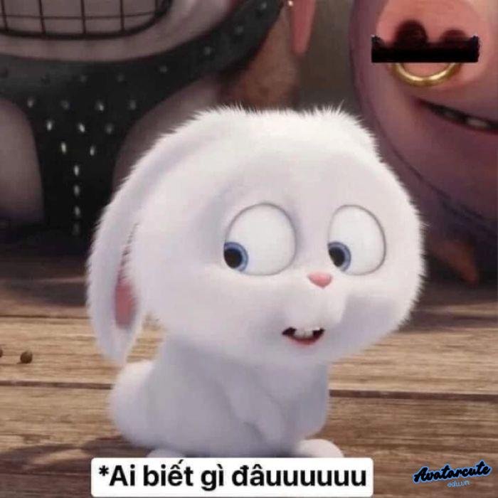 meme ai biết gì đâu 4k