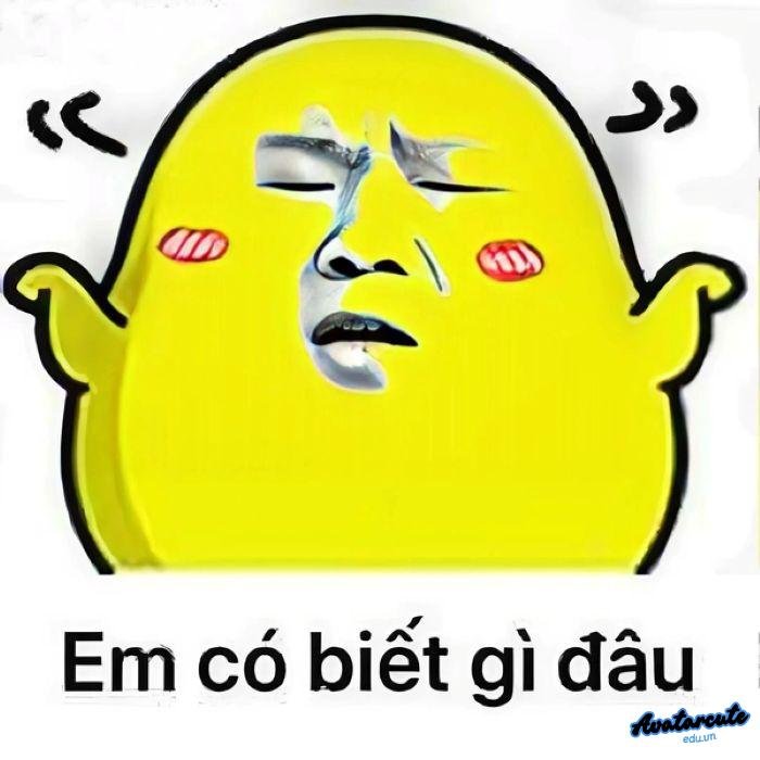 meme ai biết gì đâu 4s full