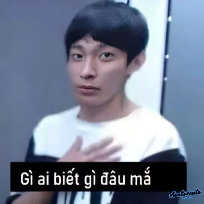 meme ai biết gì đâu 5d full