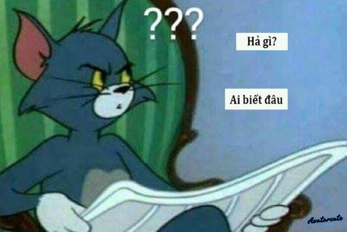 meme ai biết gì đâu bựa 3k