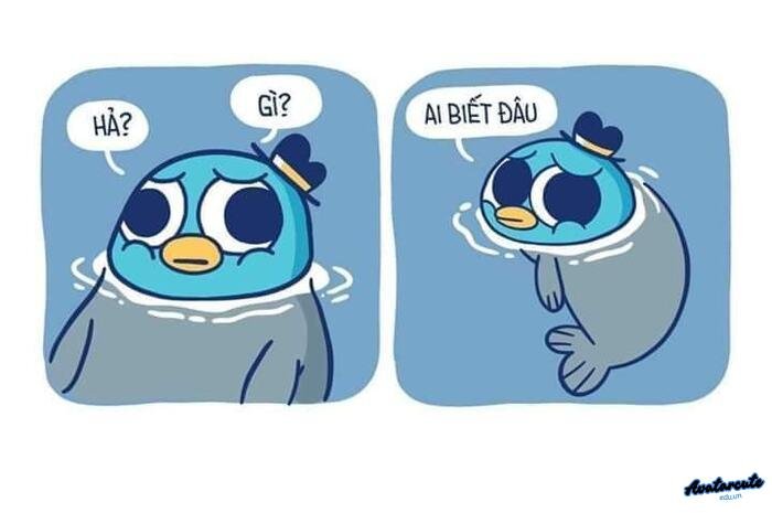 meme ai biết gì đâu bựa 5k