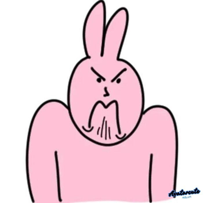 meme ảnh troll xênh 3k full