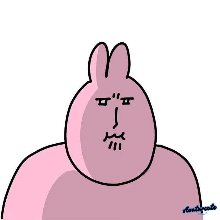 meme ảnh troll xênh 5d