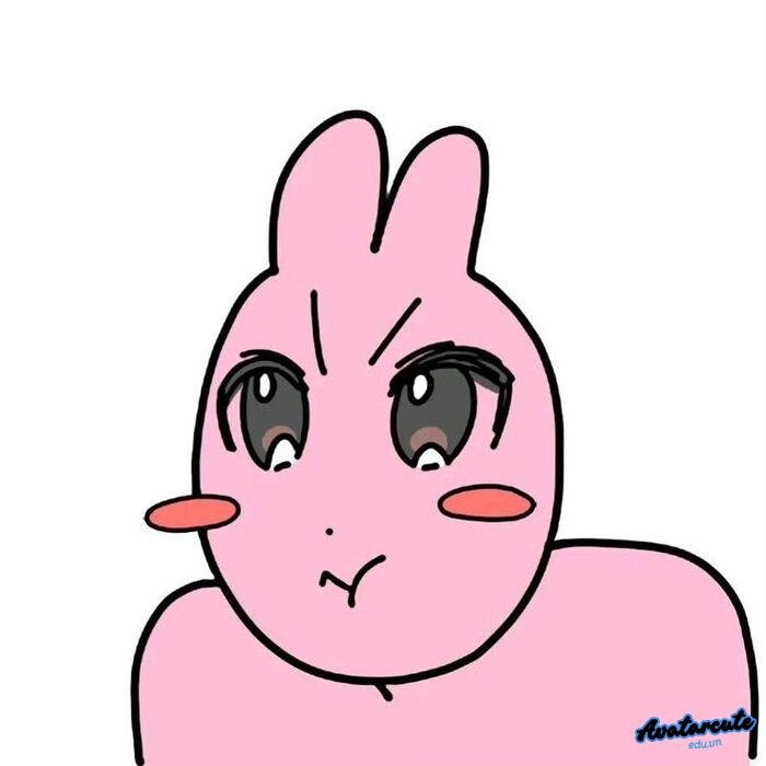 meme ảnh troll xênh