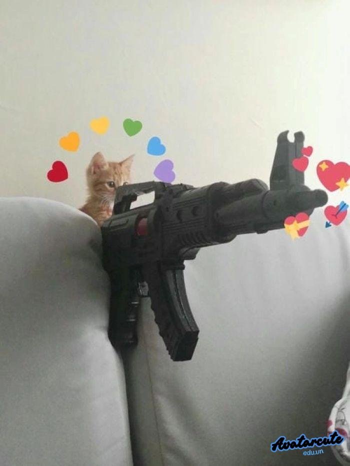 meme bắn súng 4k