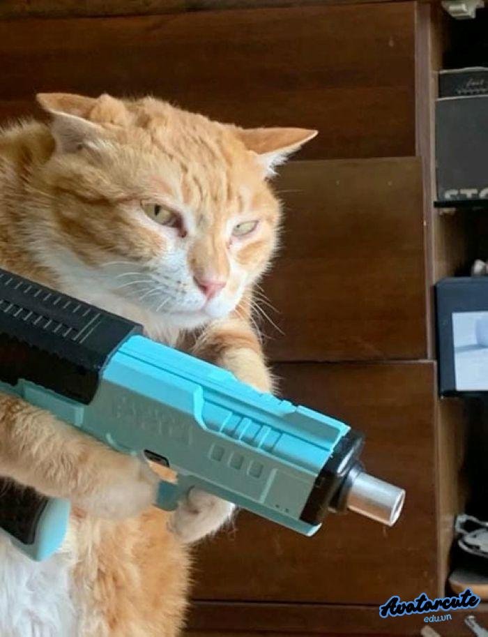 meme bắn súng 5d full