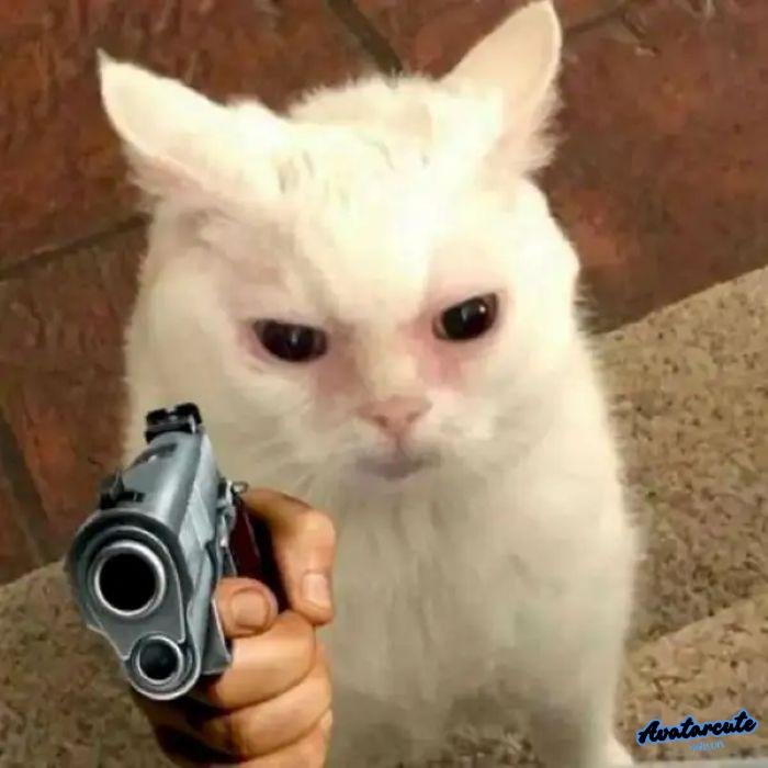 meme bắn súng 5s full