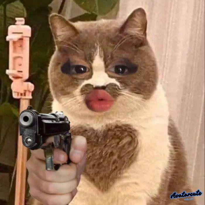 meme bắn súng bựa full