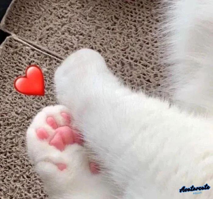 meme bất ngờ bựa 4k