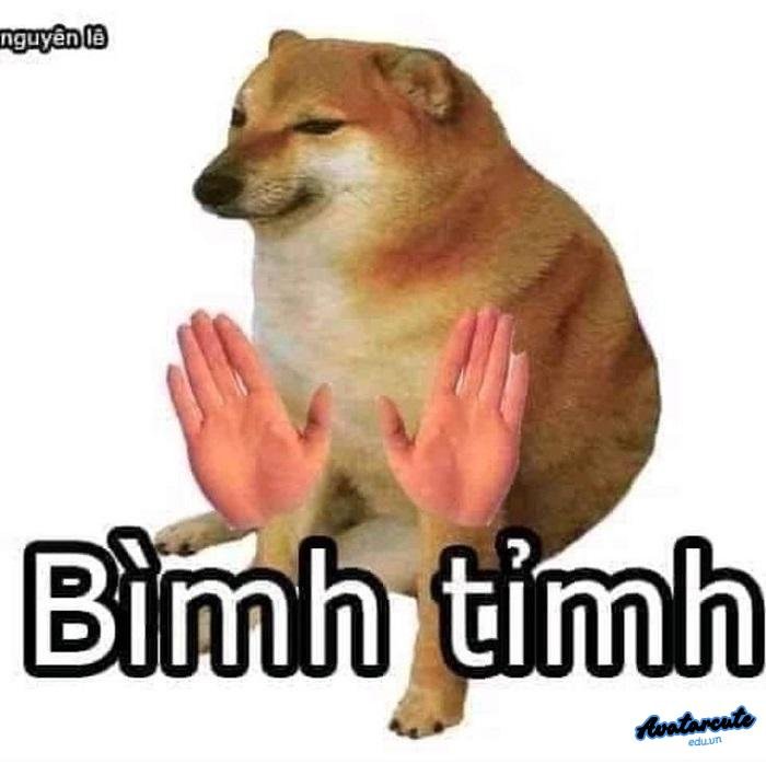 meme bình tĩnh hài chó