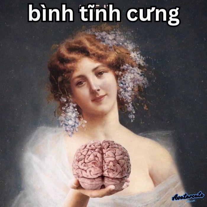 meme bình tĩnh hài cực bựa