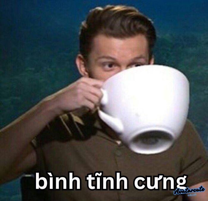 meme bình tĩnh hài độc nhất