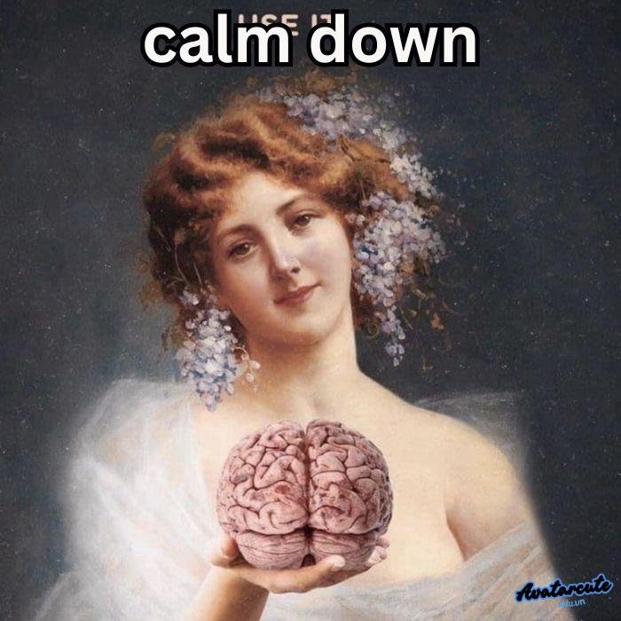 meme calm down chế nhây